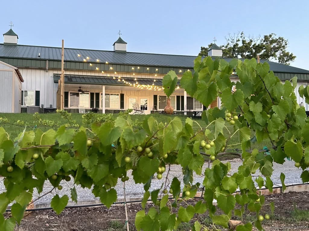 Photo Credit (Facebook: Bella Vista Winery) 